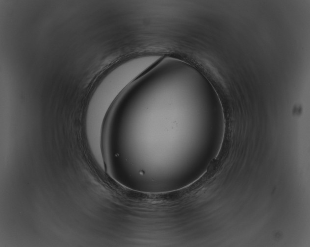 X0000091640260200708301405