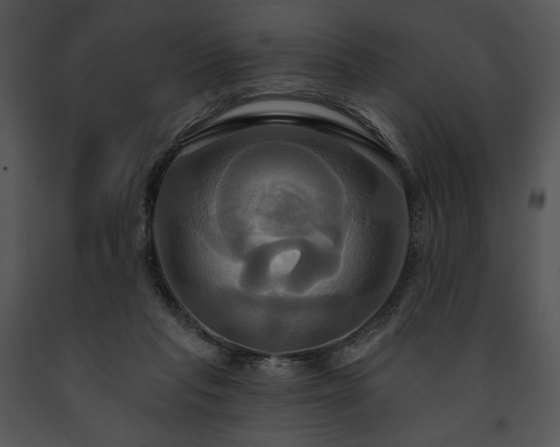 X0000091640261200708301405
