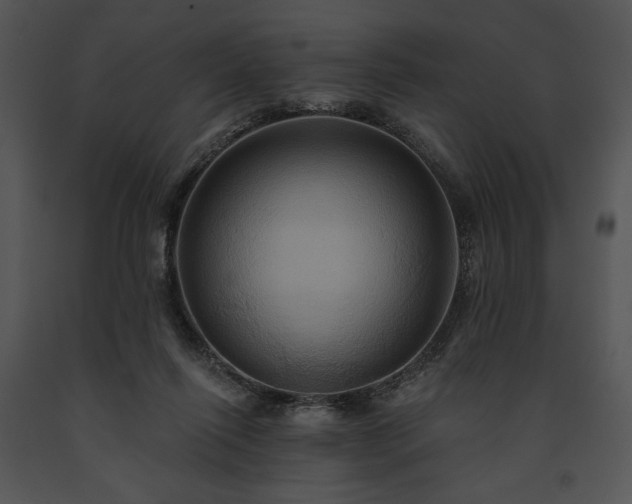 X0000091640262200708301405