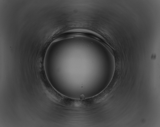 X0000091640264200708301405