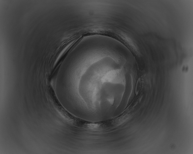 X0000091640265200708301405