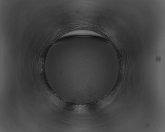 X0000091640273200708301405