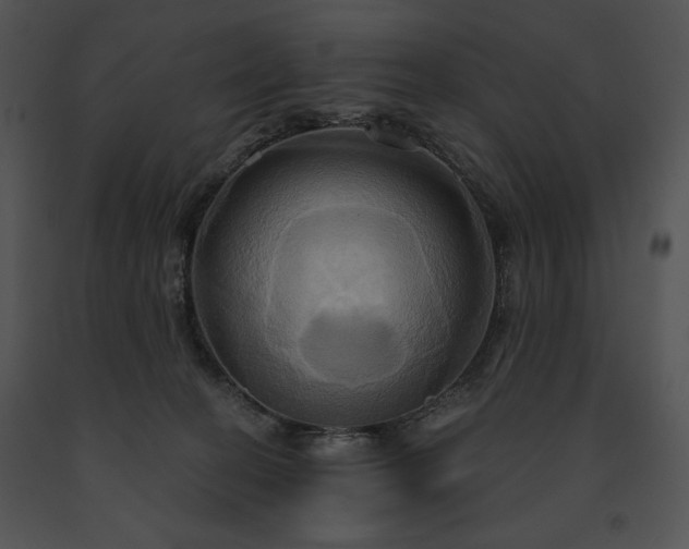 X0000091640274200708301405