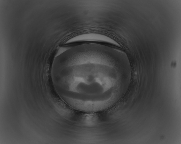 X0000091640275200708301405