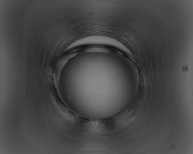 X0000091640280200708301405