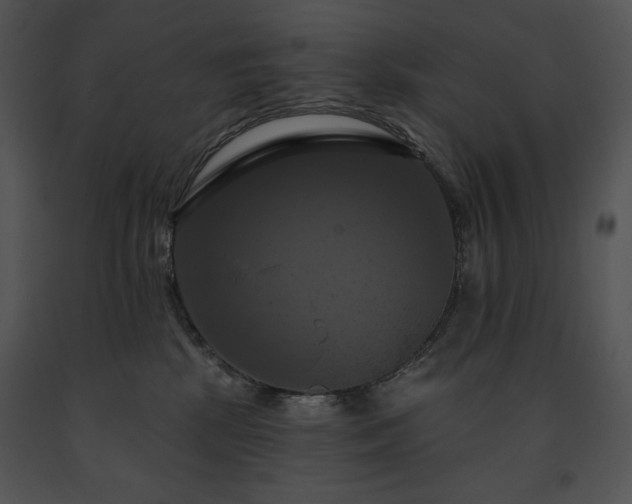 X0000091640281200708301405