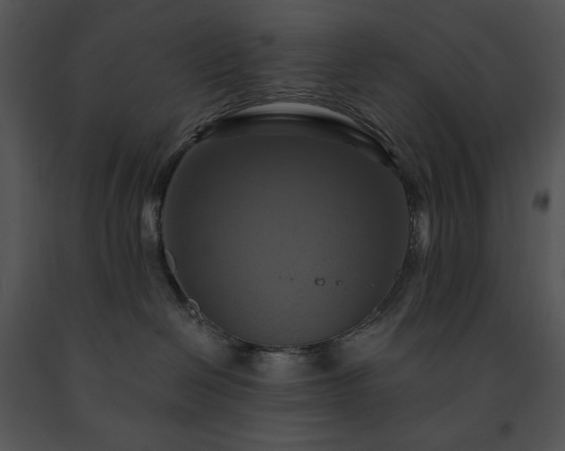 X0000091640286200708301405