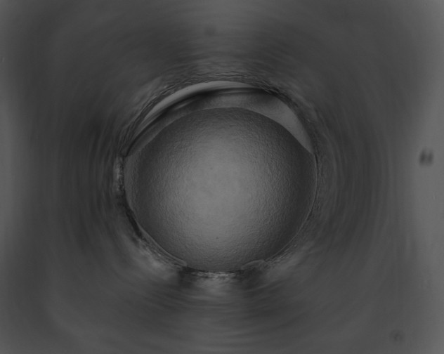 X0000091640288200708301405