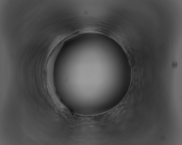 X0000091640289200708301404