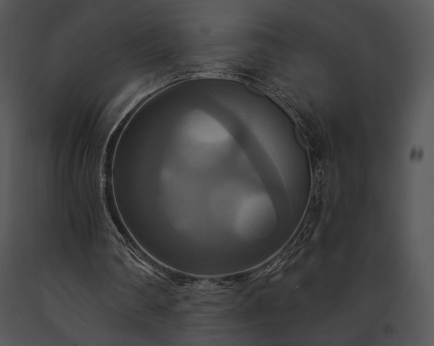 X0000091640290200708301404