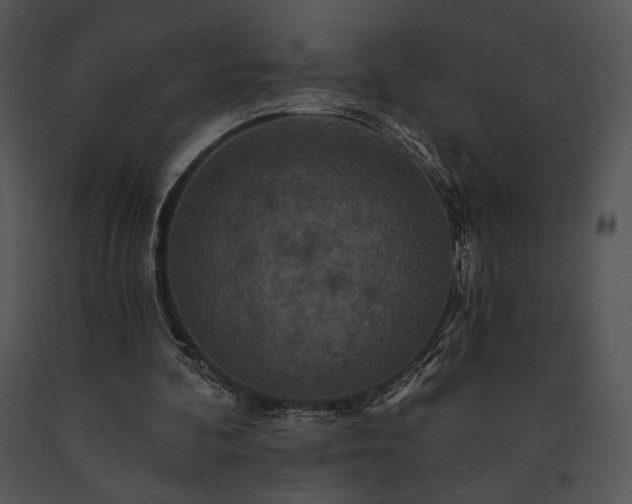 X0000091640292200708301404