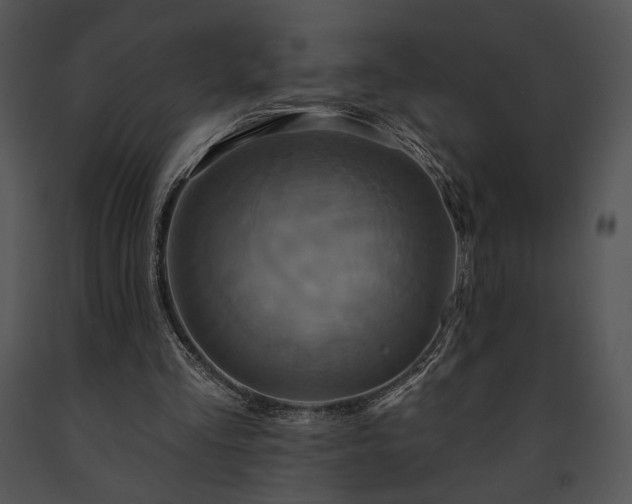 X0000091640293200708301404