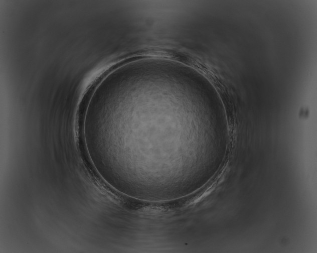 X0000091640294200708301404