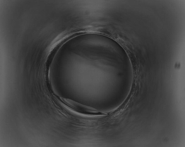 X0000091640295200708301404