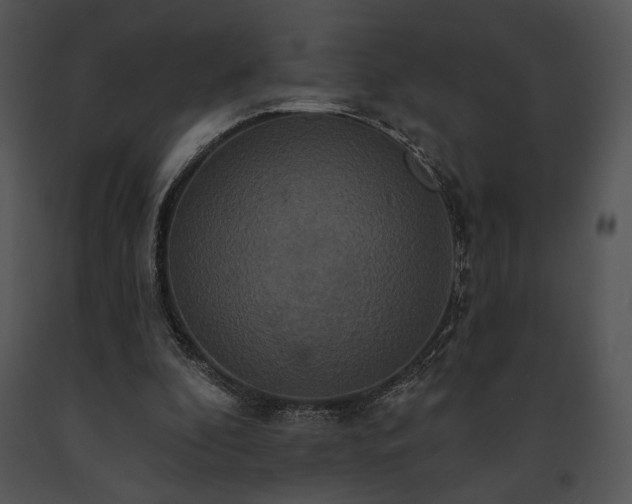 X0000091640296200708301404