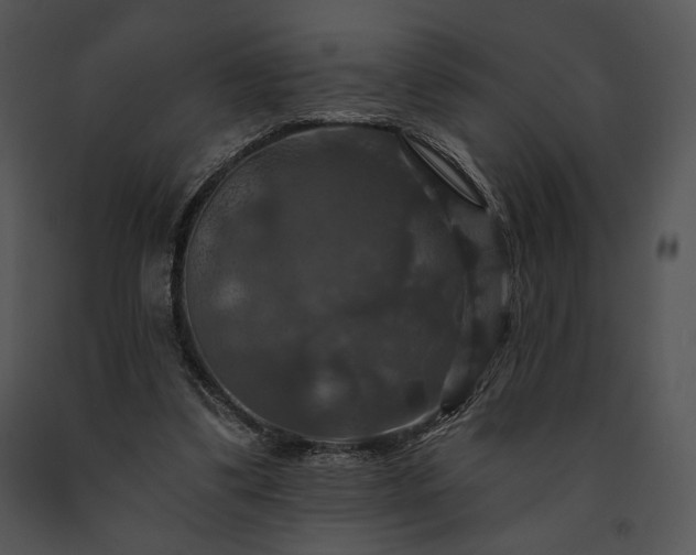 X0000091640299200708301404