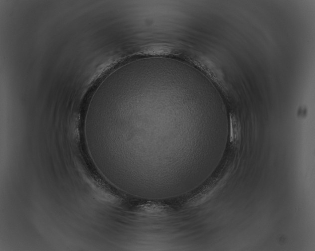 X0000091640300200708301404