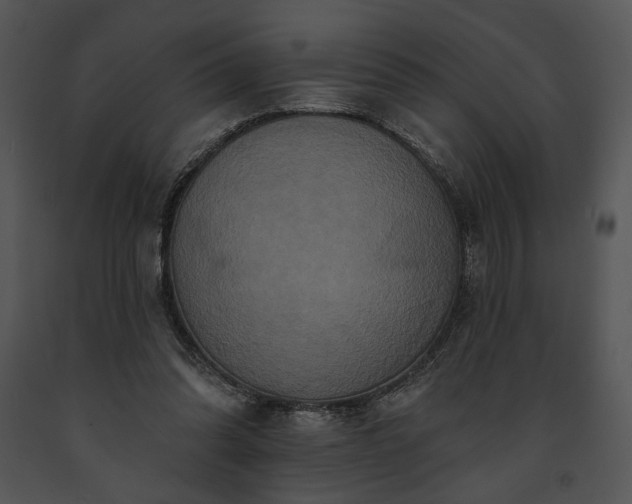 X0000091640302200708301404