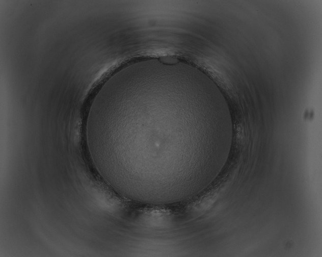 X0000091640304200708301404