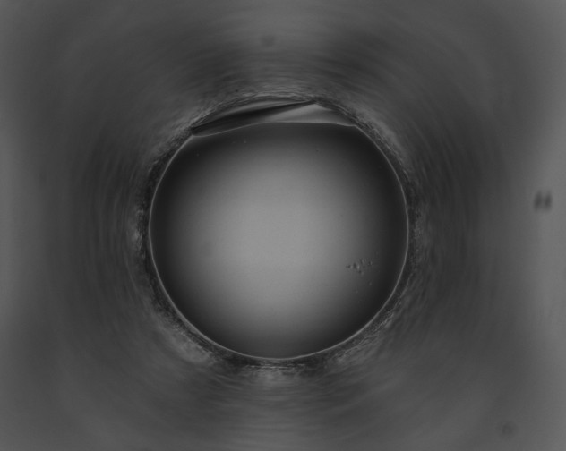 X0000091640305200708301404