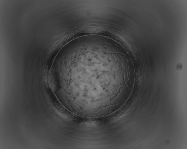 X0000091640307200708301404