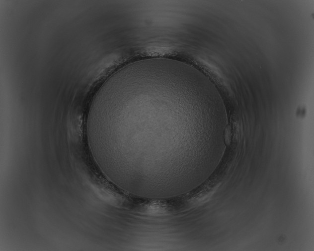 X0000091640308200708301404