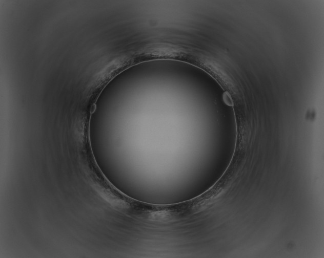 X0000091640309200708301404