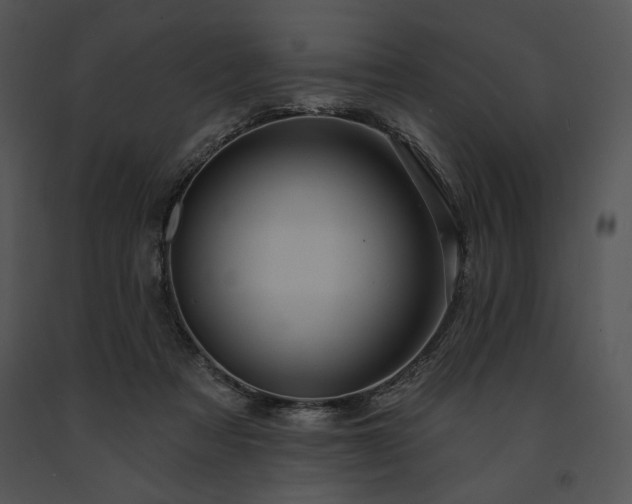X0000091640313200708301404