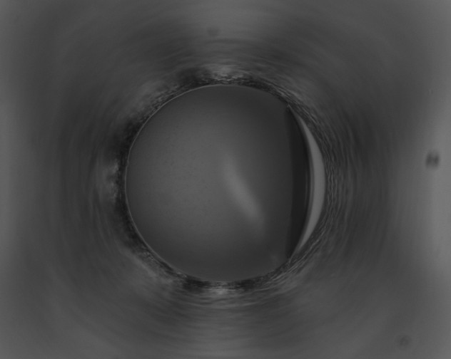 X0000091640319200708301404
