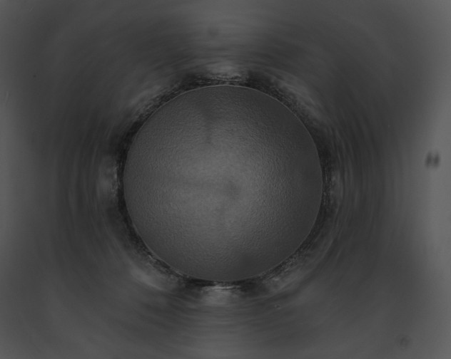 X0000091640320200708301404