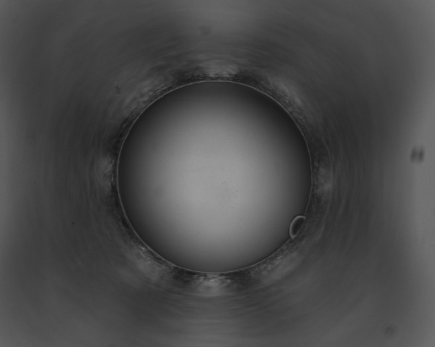 X0000091640321200708301404