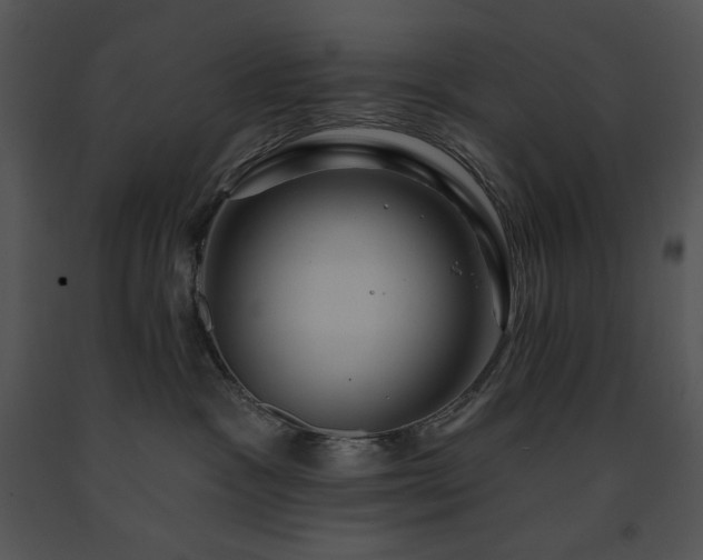 X0000091640333200708301404