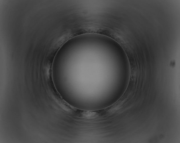 X0000091640334200708301404
