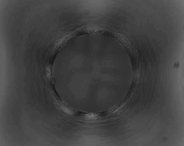 X0000091640335200708301404