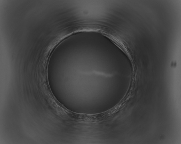 X0000091640337200708301403