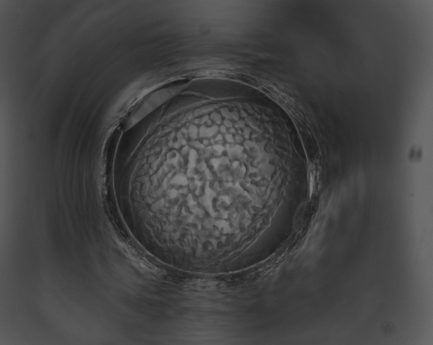 X0000091640339200708301403