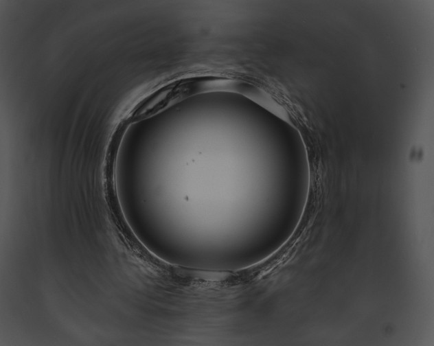 X0000091640340200708301403