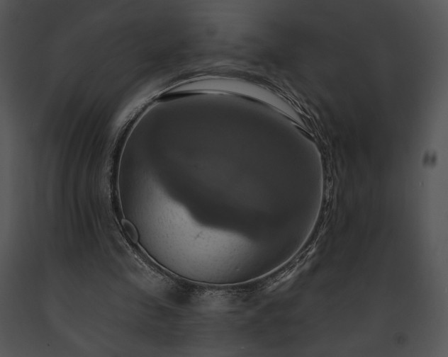 X0000091640341200708301403
