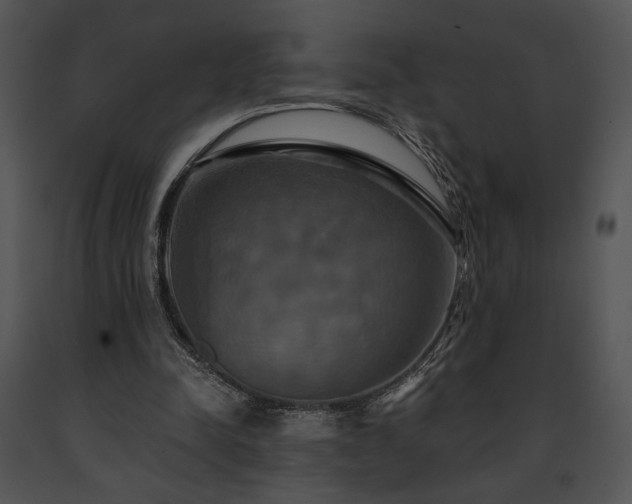 X0000091640342200708301403