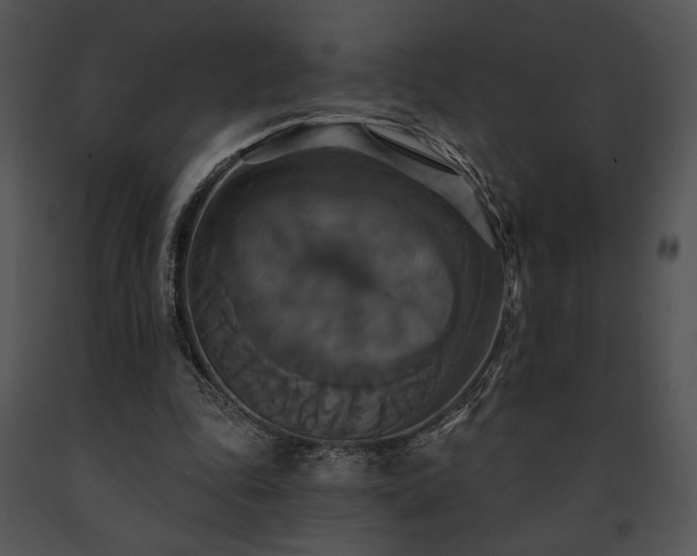 X0000091640343200708301403