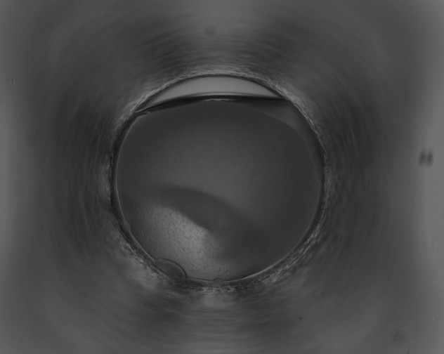 X0000091640345200708301403