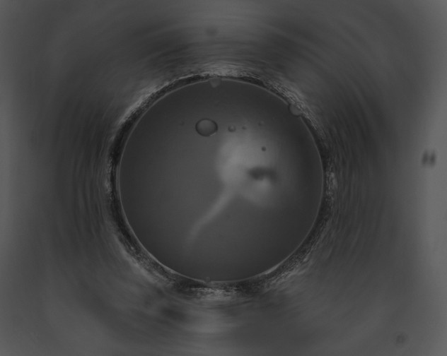 X0000091640347200708301403