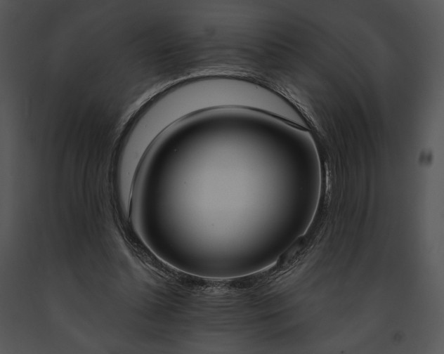 X0000091640348200708301403