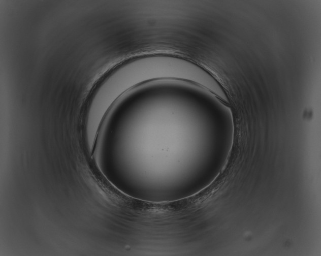 X0000091640350200708301403