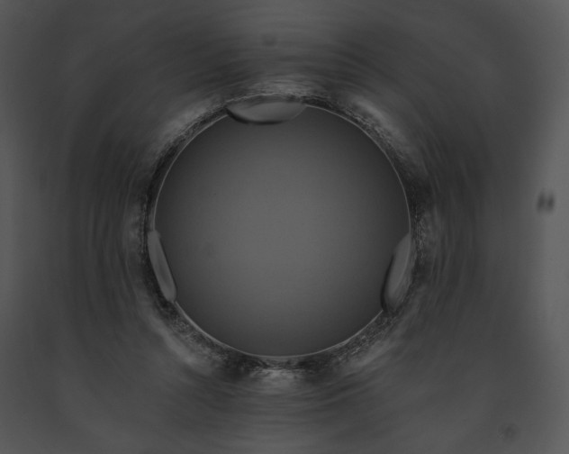X0000091640352200708301403