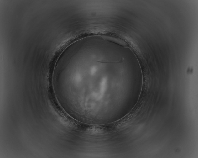 X0000091640354200708301403