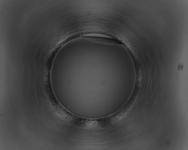 X0000091640355200708301403