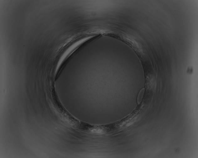 X0000091640358200708301403