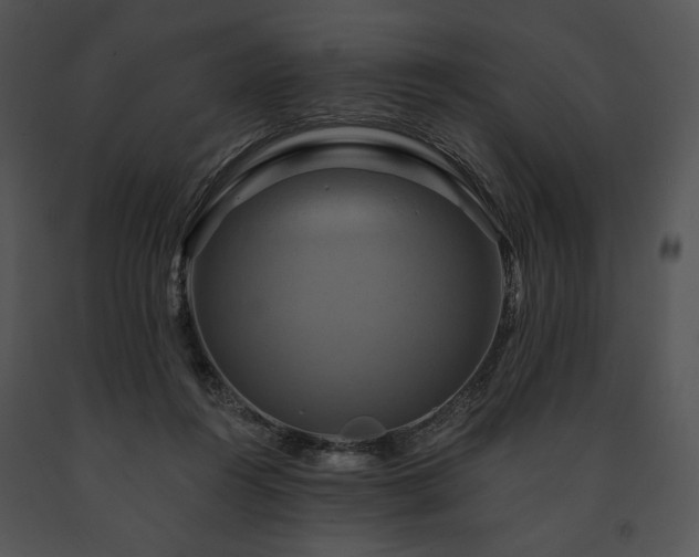 X0000091640360200708301403