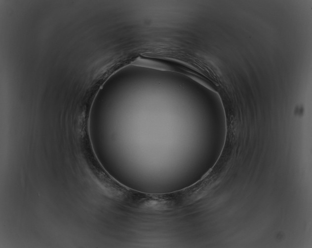 X0000091640364200708301403